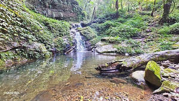 【鵝公髻山雲霧步道】千年血藤、三心瀑布群、神木與酋長岩的奇幻