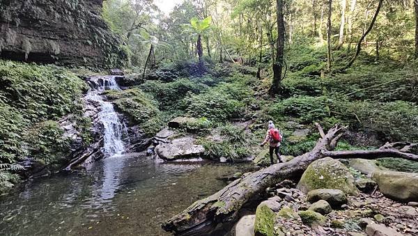 【鵝公髻山雲霧步道】千年血藤、三心瀑布群、神木與酋長岩的奇幻