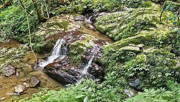 【鵝公髻山雲霧步道】千年血藤、三心瀑布群、神木與酋長岩的奇幻