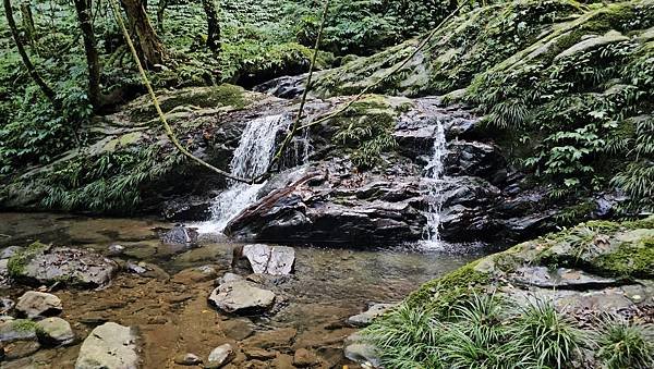 【鵝公髻山雲霧步道】千年血藤、三心瀑布群、神木與酋長岩的奇幻