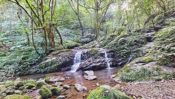 【鵝公髻山雲霧步道】千年血藤、三心瀑布群、神木與酋長岩的奇幻