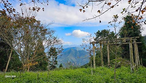 【鵝公髻山雲霧步道】千年血藤、三心瀑布群、神木與酋長岩的奇幻