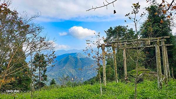 【鵝公髻山雲霧步道】千年血藤、三心瀑布群、神木與酋長岩的奇幻