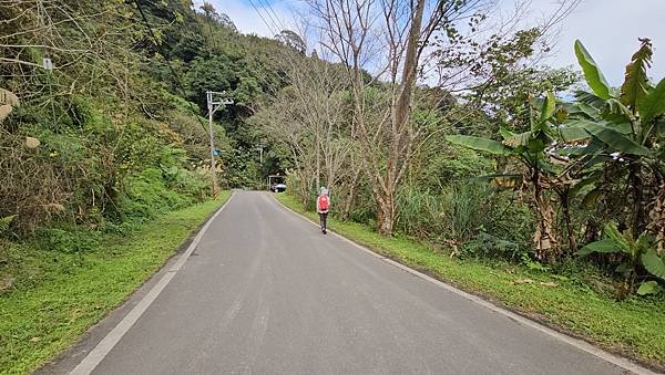 【鵝公髻山雲霧步道】千年血藤、三心瀑布群、神木與酋長岩的奇幻