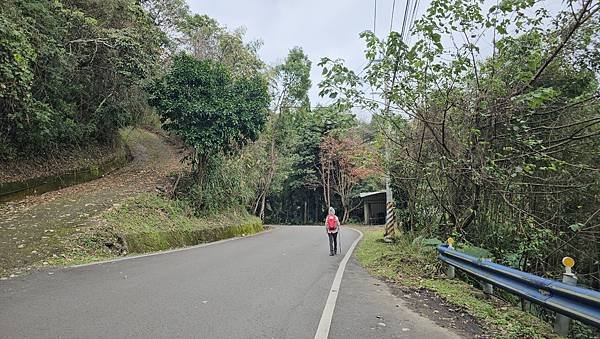 【鵝公髻山雲霧步道】千年血藤、三心瀑布群、神木與酋長岩的奇幻