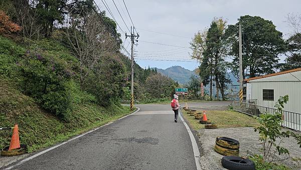 【鵝公髻山雲霧步道】千年血藤、三心瀑布群、神木與酋長岩的奇幻