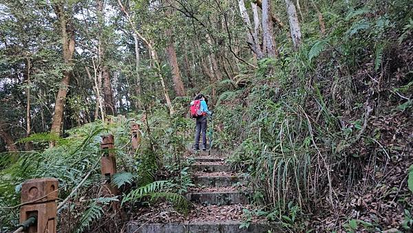 【芝虎縱走】芝生毛台山・虎禮山，軍艦岩壯闊起登7.3K縱走~