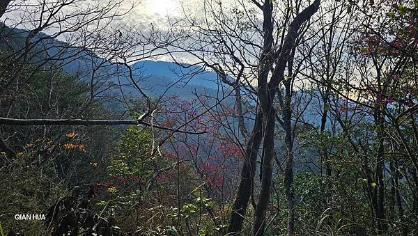 【芝虎縱走】芝生毛台山・虎禮山，軍艦岩壯闊起登7.3K縱走~