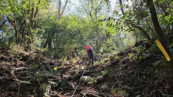 【芝虎縱走】芝生毛台山・虎禮山，軍艦岩壯闊起登7.3K縱走~