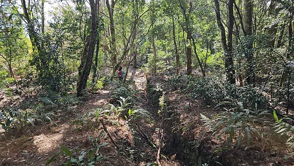 【芝虎縱走】芝生毛台山・虎禮山，軍艦岩壯闊起登7.3K縱走~