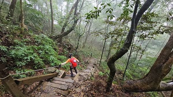 【新竹五連峰】五指山-五指連峰指峰凌霄，全台12勝，新竹熱門