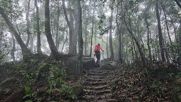 【新竹五連峰】五指山-五指連峰指峰凌霄，全台12勝，新竹熱門