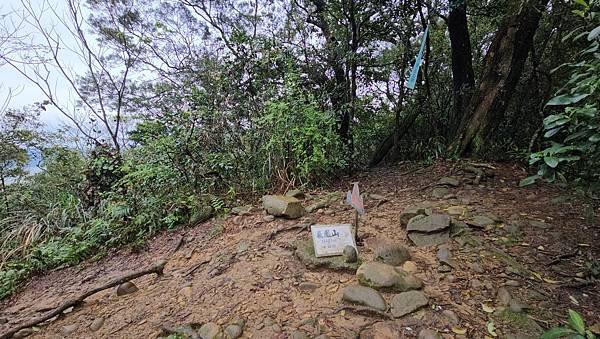 【飛鳳山、觀日坪古道】台灣百大必訪步道，中坑山、石壁潭山、大