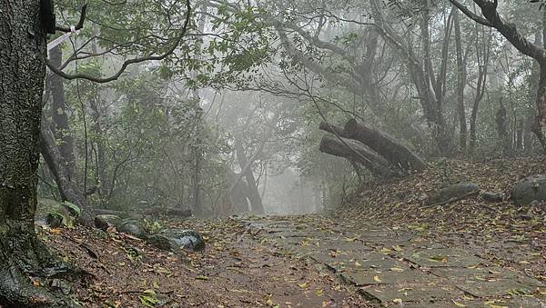 【飛鳳山、觀日坪古道】台灣百大必訪步道，中坑山、石壁潭山、大
