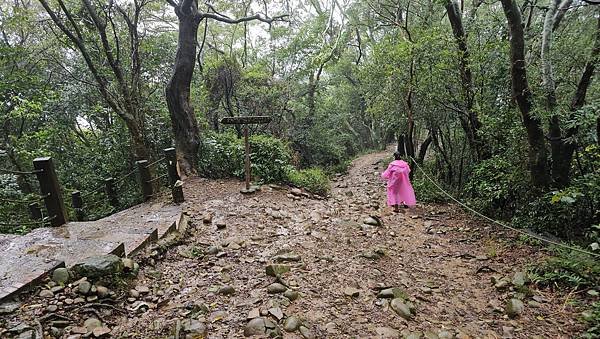 【飛鳳山、觀日坪古道】台灣百大必訪步道，中坑山、石壁潭山、大