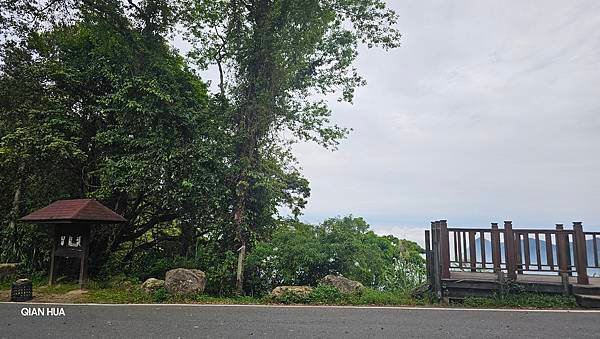 【嶺頭山、金柑樹山、忘憂森林】溪頭四姝、#小百岳54、留龍頭