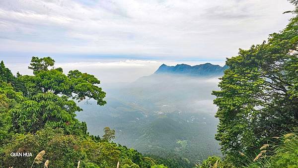 【嶺頭山、金柑樹山、忘憂森林】溪頭四姝、#小百岳54、留龍頭