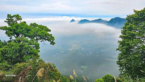 【嶺頭山、金柑樹山、忘憂森林】溪頭四姝、#小百岳54、留龍頭