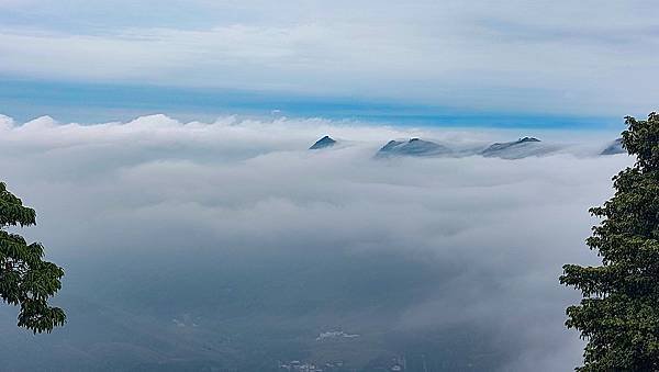 【嶺頭山、金柑樹山、忘憂森林】溪頭四姝、#小百岳54、留龍頭