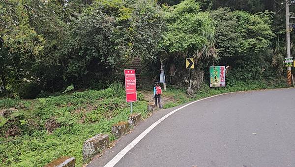 【嶺頭山、金柑樹山、忘憂森林】溪頭四姝、#小百岳54、留龍頭