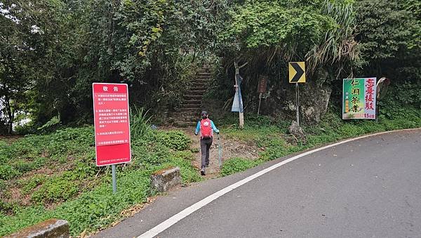 【嶺頭山、金柑樹山、忘憂森林】溪頭四姝、#小百岳54、留龍頭