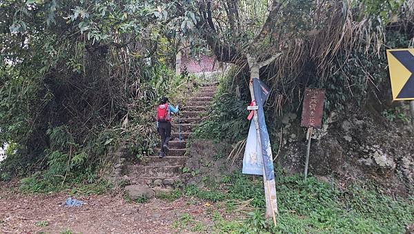 【嶺頭山、金柑樹山、忘憂森林】溪頭四姝、#小百岳54、留龍頭