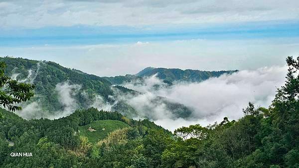 【嶺頭山、金柑樹山、忘憂森林】溪頭四姝、#小百岳54、留龍頭