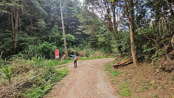 【嶺頭山、金柑樹山、忘憂森林】溪頭四姝、#小百岳54、留龍頭