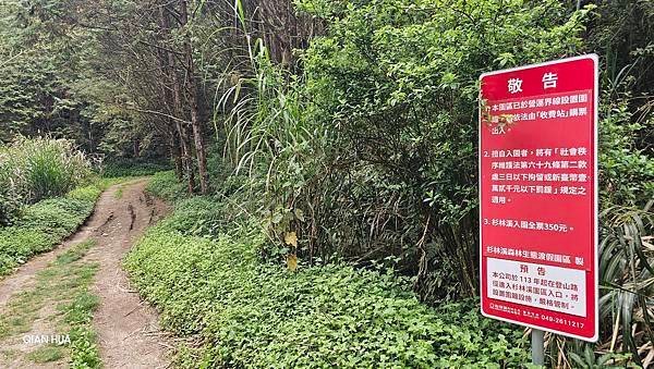 【嶺頭山、金柑樹山、忘憂森林】溪頭四姝、#小百岳54、留龍頭