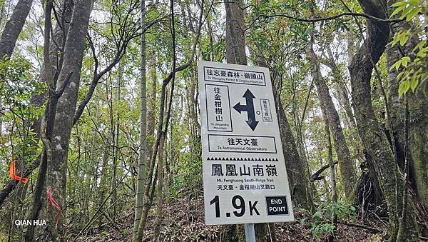 【嶺頭山、金柑樹山、忘憂森林】溪頭四姝、#小百岳54、留龍頭