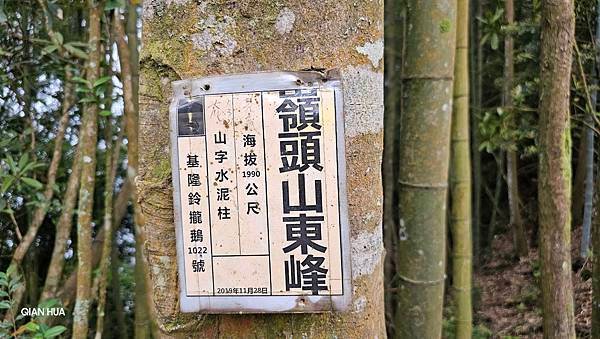 【嶺頭山、金柑樹山、忘憂森林】溪頭四姝、#小百岳54、留龍頭