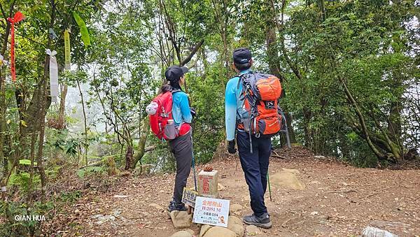 【嶺頭山、金柑樹山、忘憂森林】溪頭四姝、#小百岳54、留龍頭