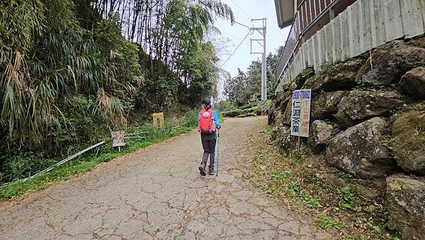 【嶺頭山、金柑樹山、忘憂森林】溪頭四姝、#小百岳54、留龍頭
