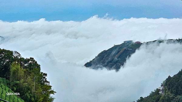 【嶺頭山、金柑樹山、忘憂森林】溪頭四姝、#小百岳54、留龍頭