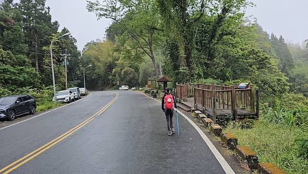 【嶺頭山、金柑樹山、忘憂森林】溪頭四姝、#小百岳54、留龍頭