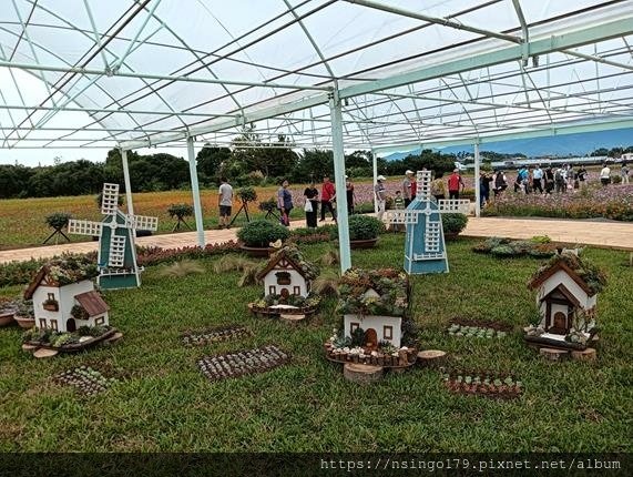2024新社花海暨花毯節之多肉植物創意組合的花心筆記