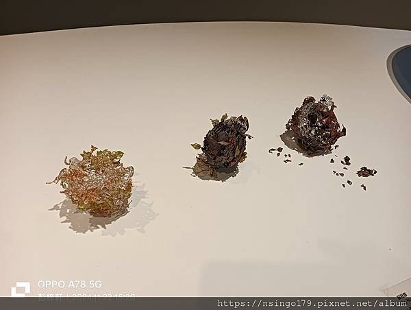 2024新竹玻璃藝術節(新竹玻璃工藝館展區)的精工筆記(下篇