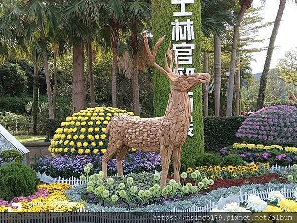 2024士林官邸菊展的花田筆記(上)：熊熊遇見鹿、綠野仙蹤、
