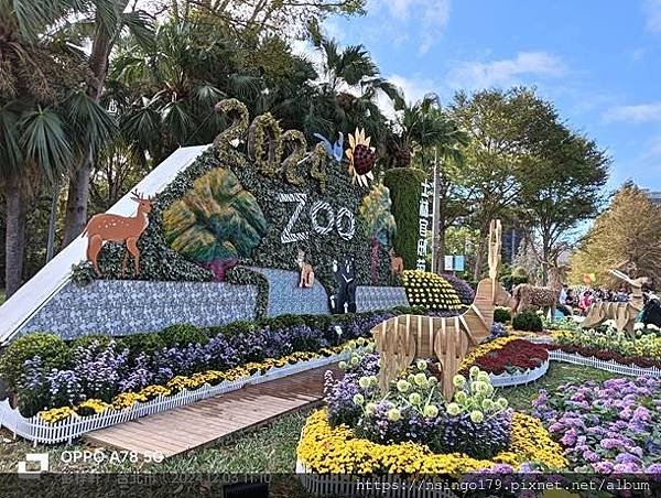 2024士林官邸菊展的花田筆記(上)：熊熊遇見鹿、綠野仙蹤、