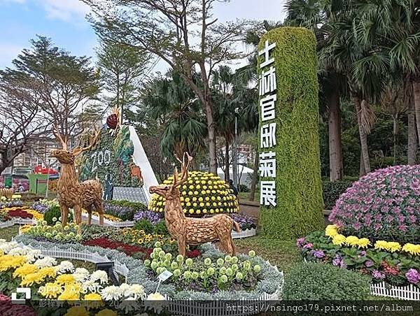 2024士林官邸菊展的花田筆記(上)：熊熊遇見鹿、綠野仙蹤、