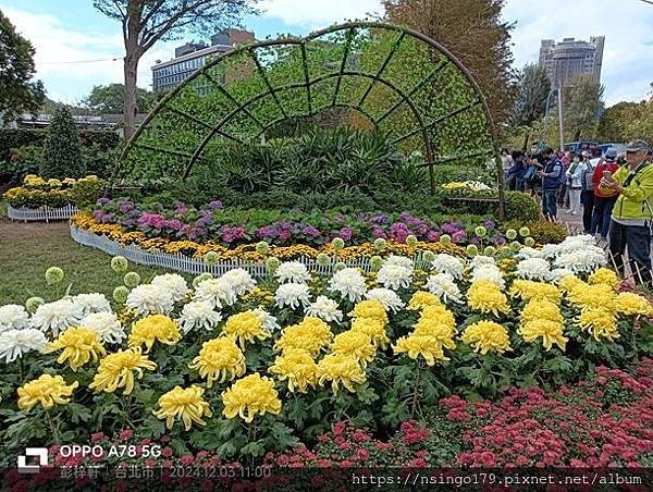 2024士林官邸菊展的花田筆記(上)：熊熊遇見鹿、綠野仙蹤、