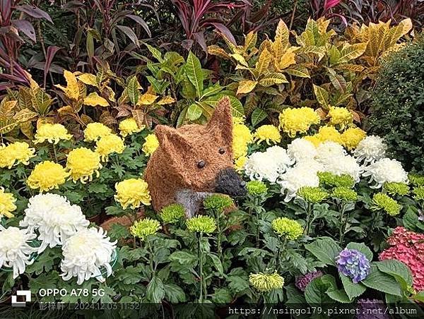 2024士林官邸菊展的花田筆記(上)：熊熊遇見鹿、綠野仙蹤、