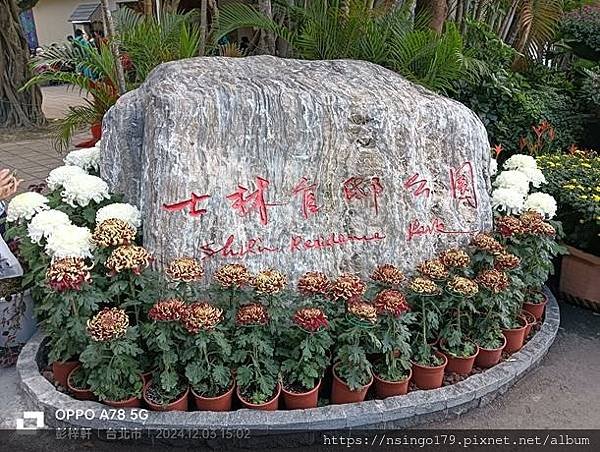 2024士林官邸菊展的花田筆記(上)：熊熊遇見鹿、綠野仙蹤、