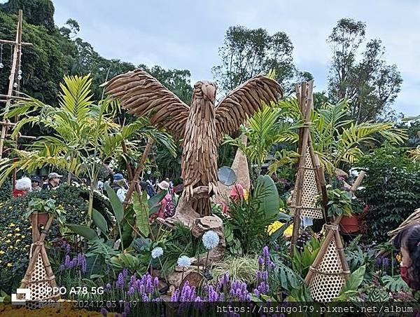 2024士林官邸菊展的花田筆記(上)：熊熊遇見鹿、綠野仙蹤、
