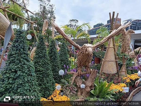 2024士林官邸菊展的花田筆記(上)：熊熊遇見鹿、綠野仙蹤、