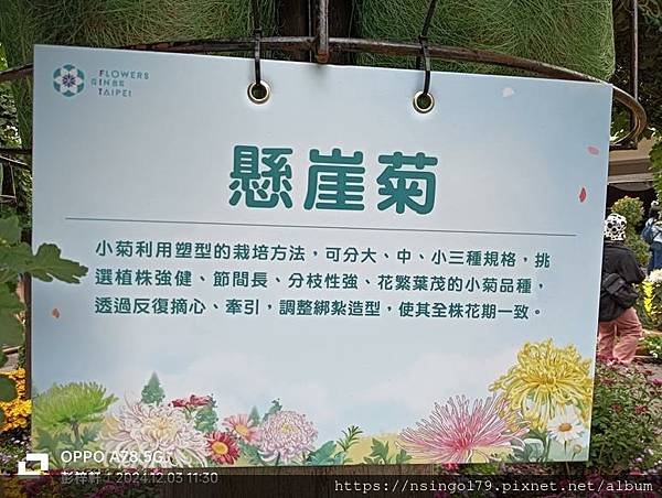 2024士林官邸菊展的花田筆記(上)：熊熊遇見鹿、綠野仙蹤、