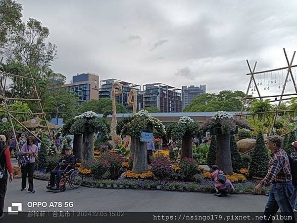 2024士林官邸菊展的花田筆記(上)：熊熊遇見鹿、綠野仙蹤、