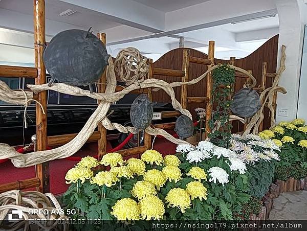 2024士林官邸菊展的花田筆記(上)：熊熊遇見鹿、綠野仙蹤、