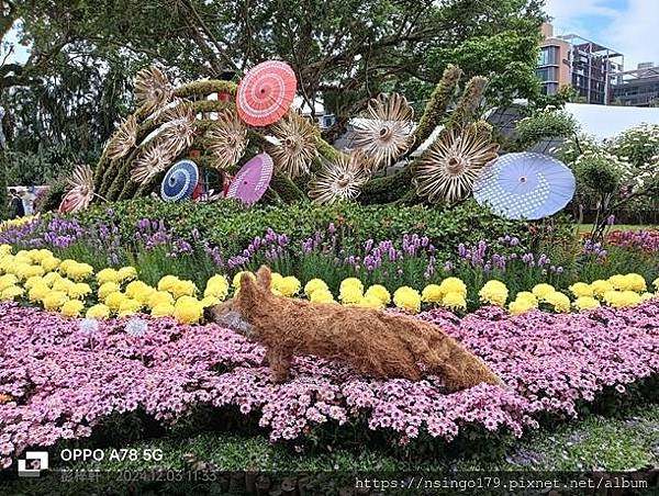 2024士林官邸菊展的花田筆記(上)：熊熊遇見鹿、綠野仙蹤、