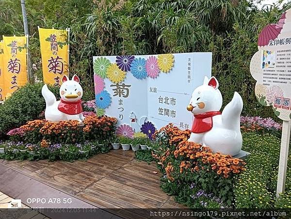 2024士林官邸菊展的花田筆記(上)：熊熊遇見鹿、綠野仙蹤、